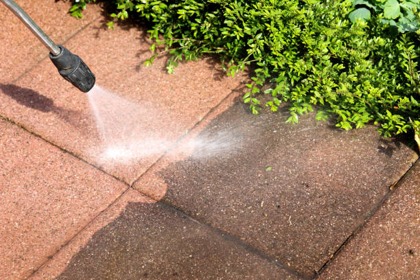 Best Residential Pressure Washing Services  in Albany, WI